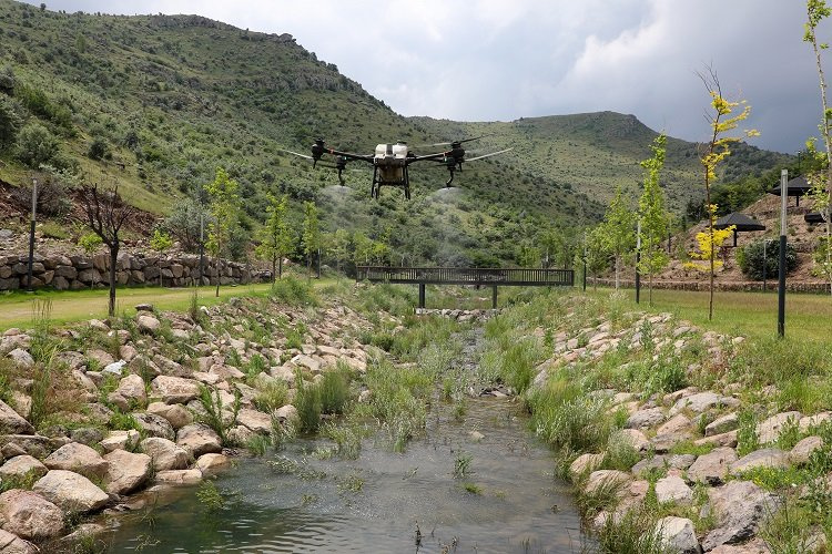 Kayseri Talas’ta dronlu tarım ilaçlaması