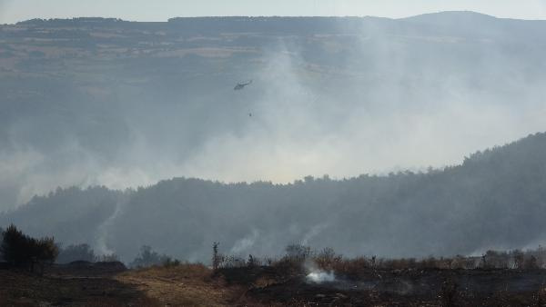 Çanakkale’deki orman yangınında 3’üncü gün