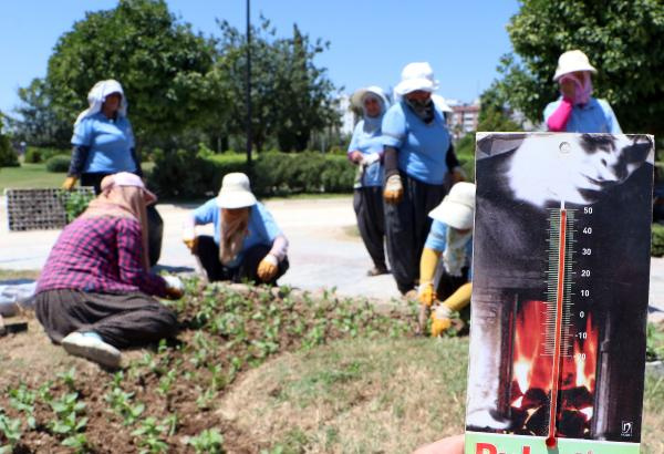 Kadın peyzaj işçilerinin 50 derece sıcaklıkta zorlu mesaisi