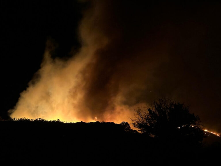 Marmara Adası’nda makilik alanda çıkan yangına müdahale ediliyor