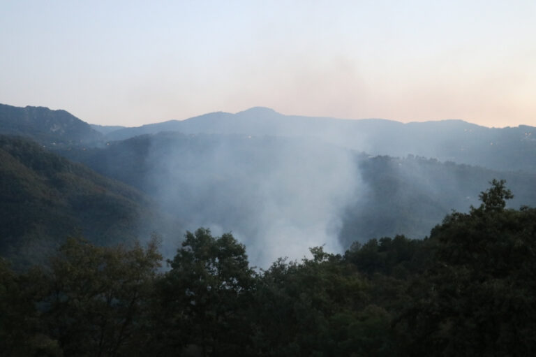 Kocaeli’de çıkan orman yangınına müdahale ediliyor