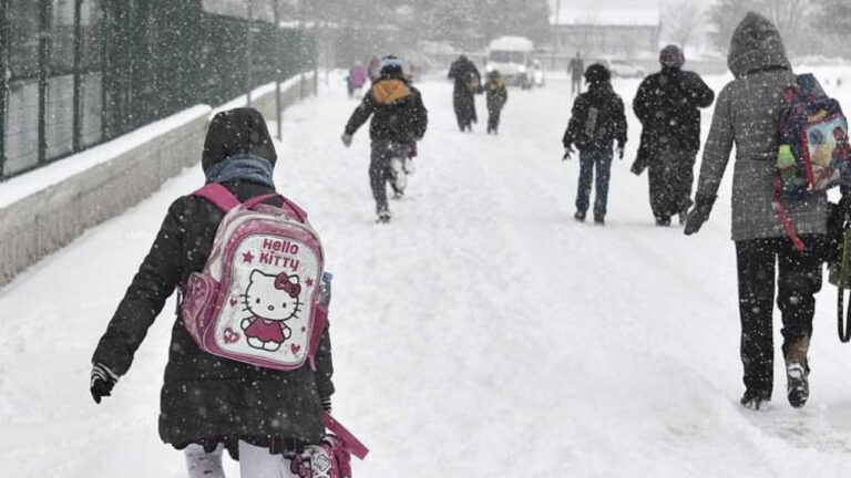 Kar Yağdı, MEB Okulları Tatil Etti