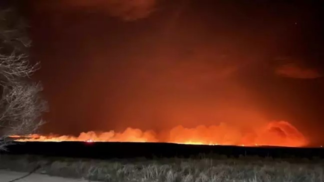 Texas’ta orman yangınları… Eyalette acil durum ilan edildi