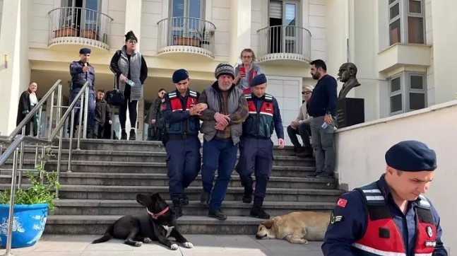Bodrum’da 4 köpek ile 3 kediyi zehirleyerek öldüren şüpheliyi özel ekip yakaladı