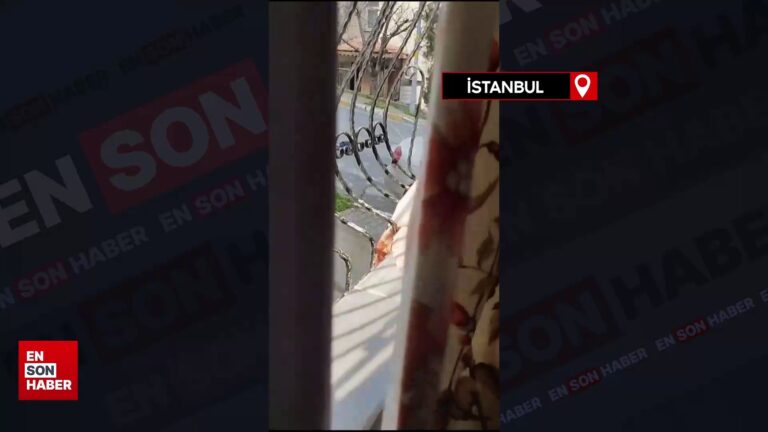 İstanbul’da annesiyle ilişkisi olduğu iddia edilen adamı bıçakladı
