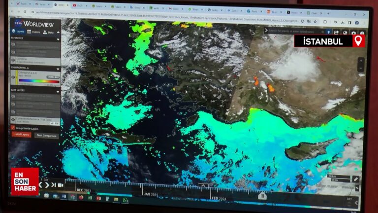 Marmara Denizi’nde oksijen seviyesi düştü