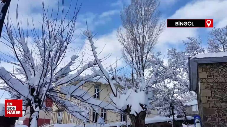 Bingöl Karlıova’da 30 köy yolu kardan kapandı