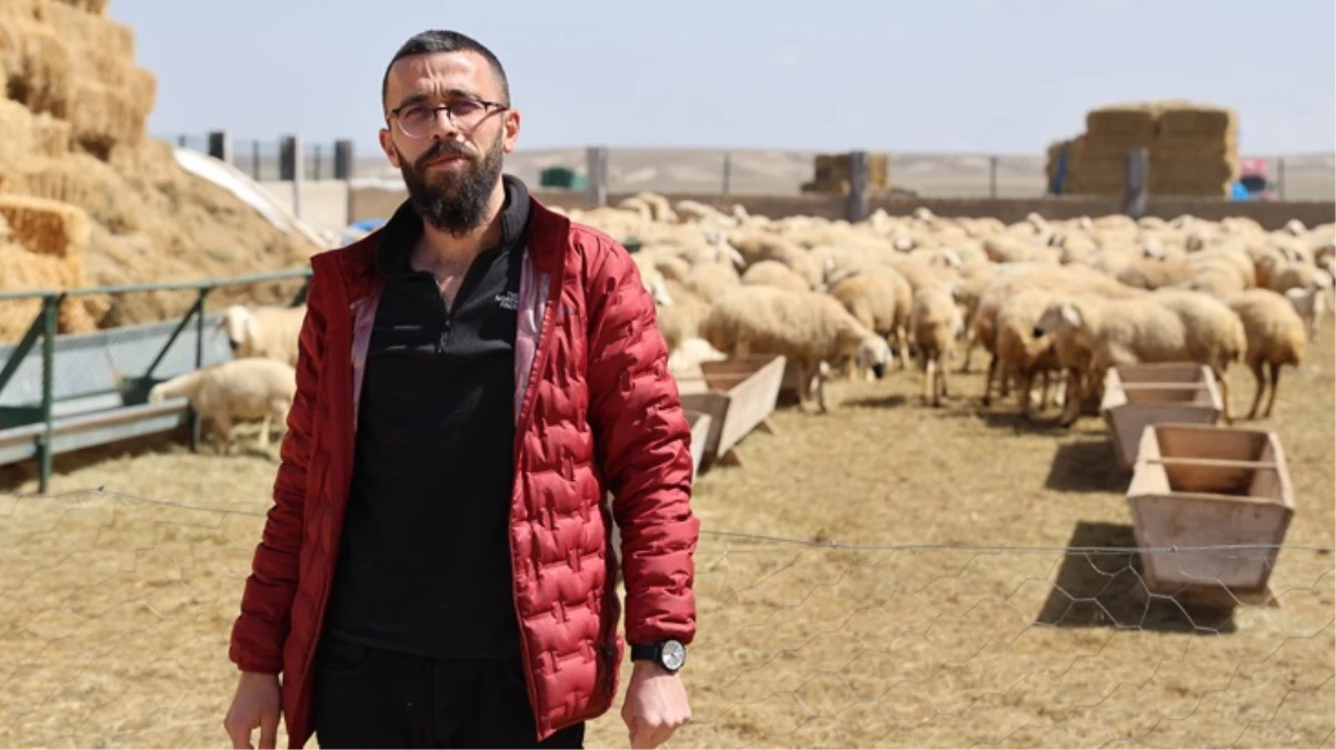 42 bin lira maaş, sigorta, dayalı döşeli ev ve karavana rağmen tarımın kalbinde çoban bulunamıyor